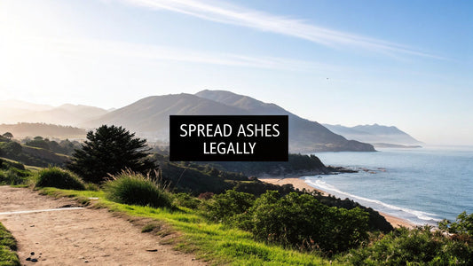 Is It Legal to Spread Ashes? A Complete Guide