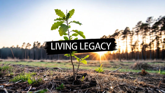 Cremains Into a Tree A Living Memorial Guide